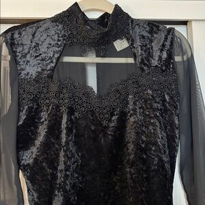 Hearts Elegant Black Velvet Dress with nylon see through sleeves!